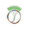 PIGTAIL OPTICKÉ VLÁKNO SM SC/APC EASY STRIP 9/125 G657A1 12X2M MULTICOLOUR